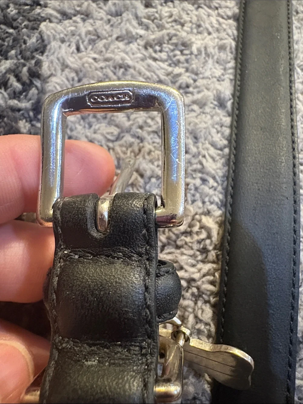 Coach dog collar
